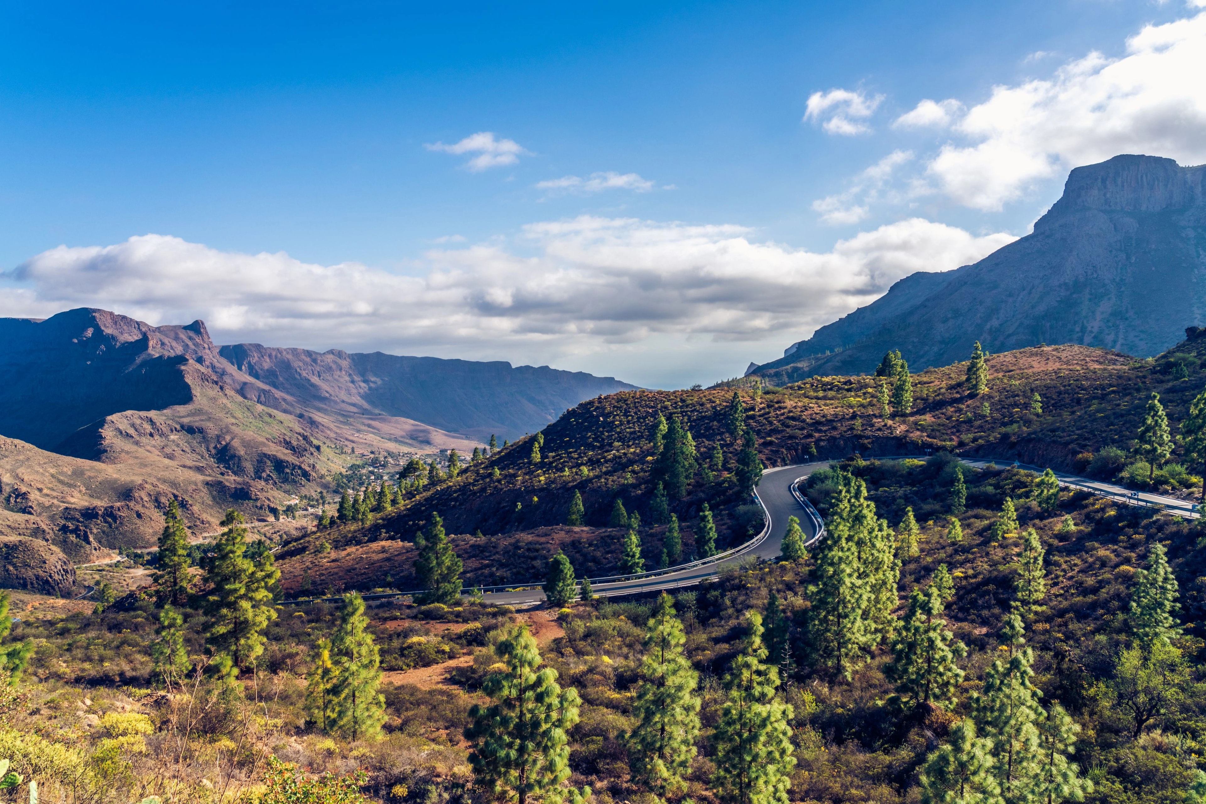 A mountain road curving through pine-covered slopes above a ravine