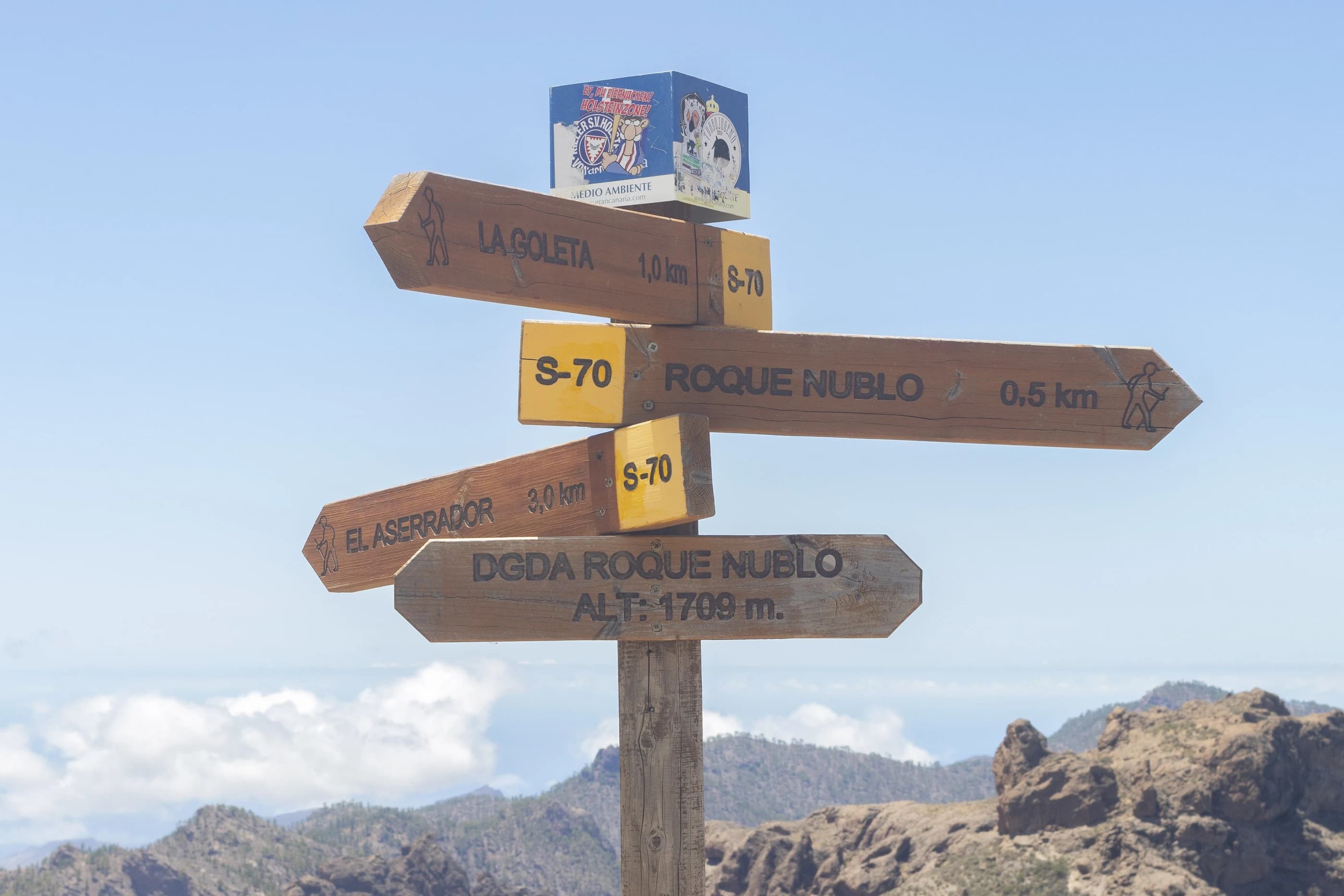 Wooden walking-route signs at Roque Nublo