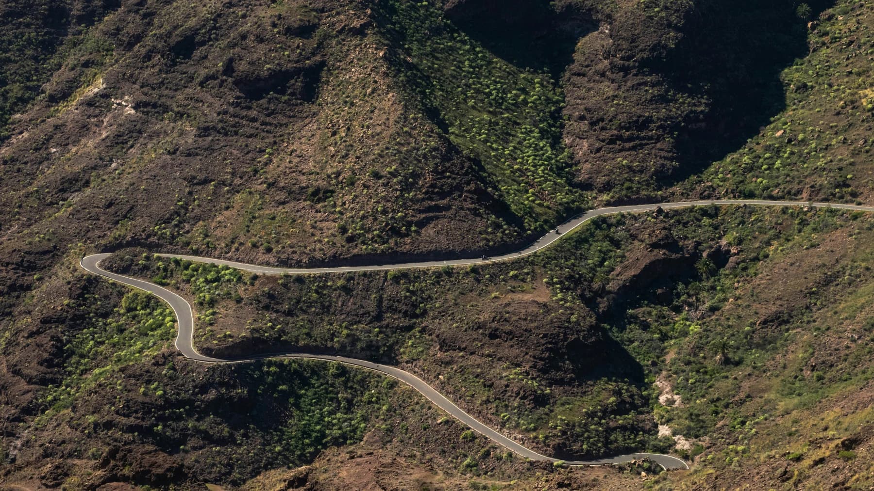 Winding paved road among wooded Gran Canaria slopes